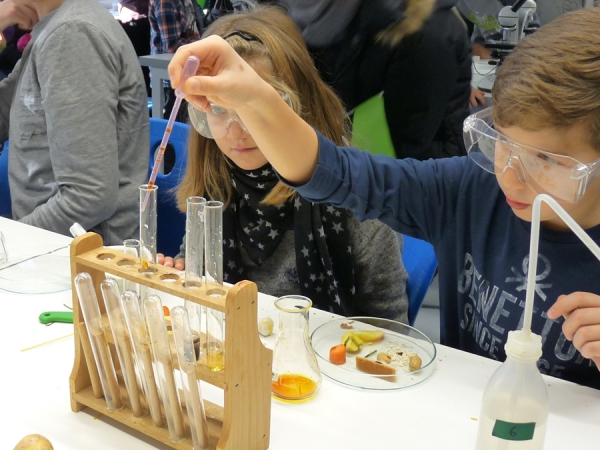 in der Biologie: Untersuchung von Lebensmitteln
