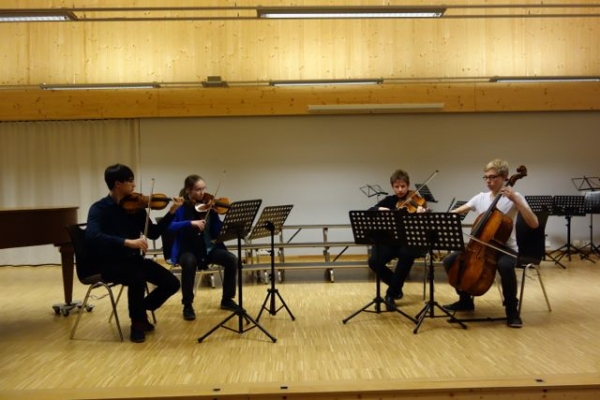 Neujahrskonzert 28.1.2015_12