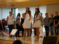Bilder des Sommerkonzerts 2014_1
